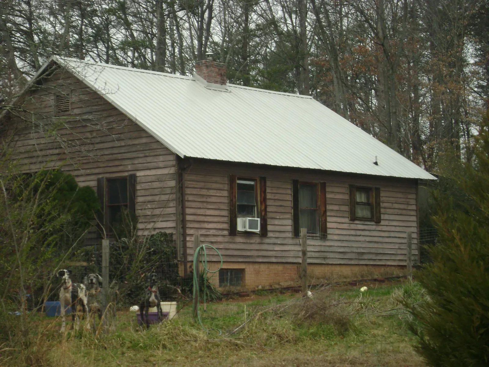 White metal roof on an old wood sided farmhouse, from a Metal Roof Installation job in Tacoma